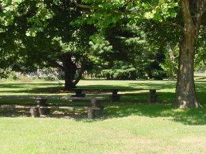 westchester_park_picnic_table_area